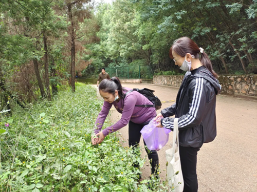 志愿服务情⭐️，奉献我先行——长虫山志愿者活动（修改版）227.png